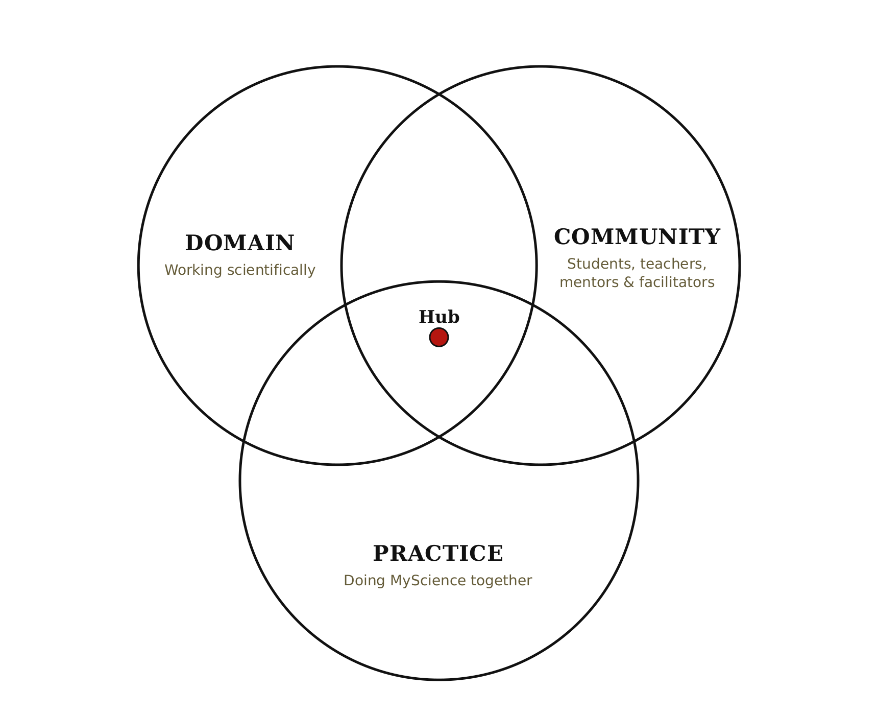 Three overlapping circles show domain, community and practice meeting at the centre of one Hub.